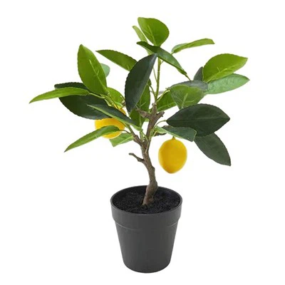 Torthaí LaTeX Mothú Láimhe