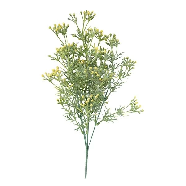 UV proof BUTTERWEED FLOWER